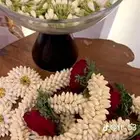 فل ورد نرجس خطور متوفر أسعار مناسبة تواصل واتساب