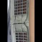 شبك مكسيما99