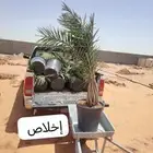 الموقع العولقه