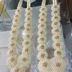 جميع انواع الفل البلدي