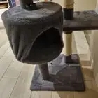 كات تري شجرة قطط بعامود خدش ..