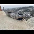 جنبيه مقفل فضه