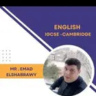 دكتور لغة إنجليزية طلاب السنة التحضيرية