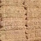 تبن قمح شد جندير تبوك