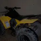 دباب صحراوي سزوكي للبيع