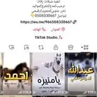 استديو تنفيذ شيلات بالاسماء