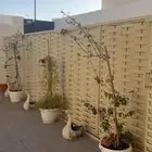 ساتر جميل نصفه متحرك