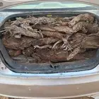 دفاية تكس فل اتواصل وتساب ا