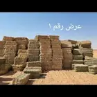 برسيم