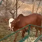 حسيل عمره 7 شهور