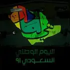 اضاءه النيون لليوم الوطني   شعار اليوم الوطني مضيء اضاءه
