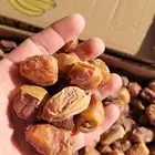 علف تمر 700 كرتون موز للغنم والابل