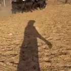 جفرات عوارض تم البيع