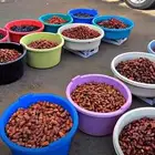 تمور حائل الفاخره