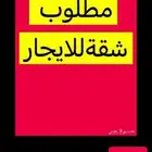 مطلوب شقه عزاب حي الزهراء