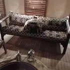 كرسي حديد جلسات كويتيه