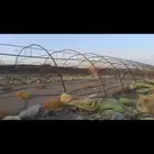 بيوت محميه للبيع بالمدينة المنورة