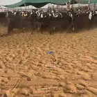 معزا عوارض