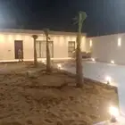 نخيل واشنطني