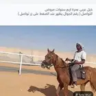 خيل عربي للبيع عمرة اربع سنوات مروض تمام هاديء يصلح الركو