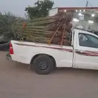 يوجد لدينا جميع انواع انخيل