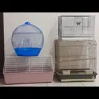اقفاص للبيع