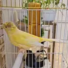 السلام عليكم ورحمة الله وبركاته