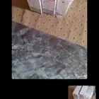 3 سيفون ألماني جديد