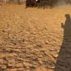 جفرات عوارض تم البيع