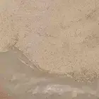 بذور مليساء للبيع