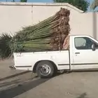 يوجد لدينا جميع انواع انخيل 0 0 6 0 8 7 5 3 5 0