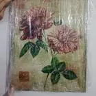 صور مختلفة