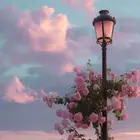 مطلوب شقة بشكل عاجل