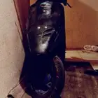 دباب بطه