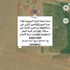 عبرالاقمار الصناعية