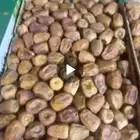 تمر سكري مفتل للبيع