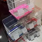 شبك قفص عصافير معلفين