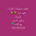 مفقود بتسهيلات القريات