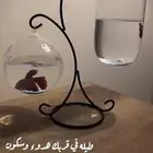 حوض سمك معلق أنيق   لمسة جمال لأي زاوية
