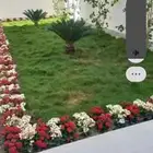 ابو محمد لتنسيق الحدائق