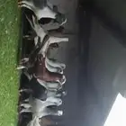 للبيع الموقع الرياض حمام شامي