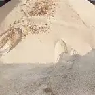 بطا الرياض