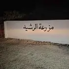 رسوم بالجدار