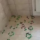 معلم بلاط ورخام