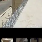 مؤسسة طارد الطيور والحشرات