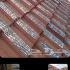 طار الحمام والطيور