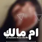 استديو تنفيذ شيلات وزفات حسب الطلب   اطلبها الان