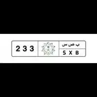 لوحه للبيع ب ص س 233