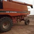 حصاده قمح