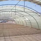For sale 82 greenhouses